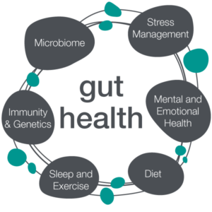 GUT AND IMMUNE HEALTH – WENDY BLANCHARD, M.S., CHHC, CPS