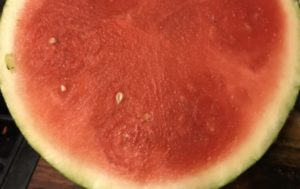 WATERMELON CLEANSE – WENDY BLANCHARD, M.S., CHHC